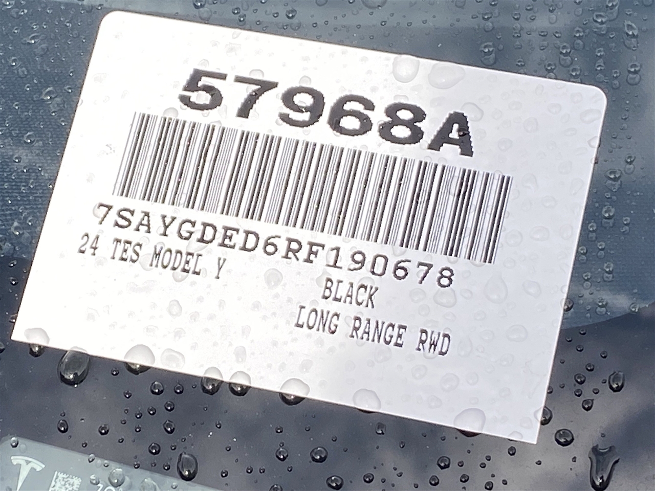 Tesla Model Y Performance 2024