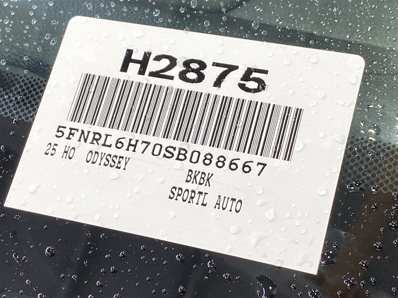 Honda Odyssey Sport-L 2025