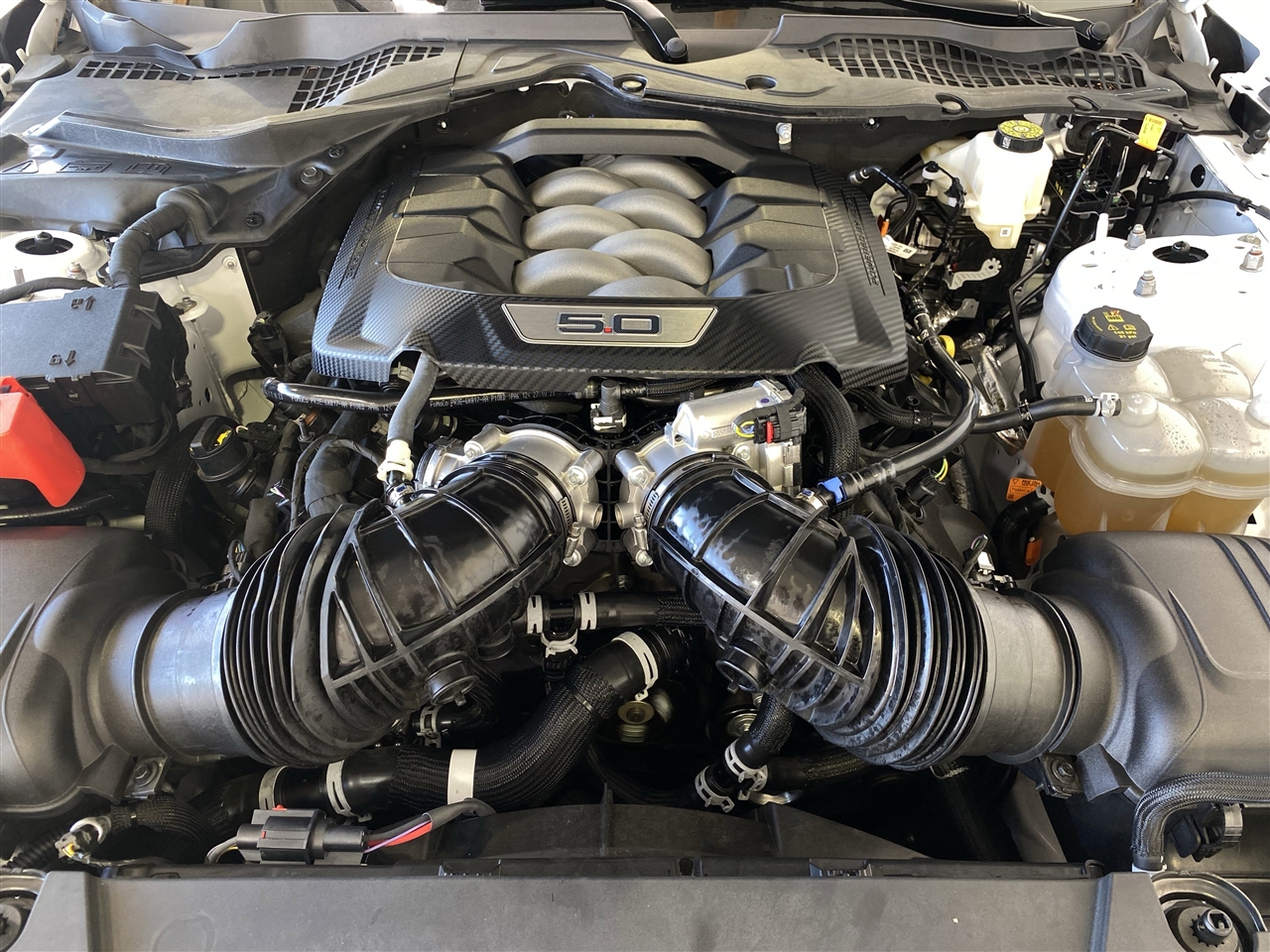 Ford Mustang GT Coupe 2024