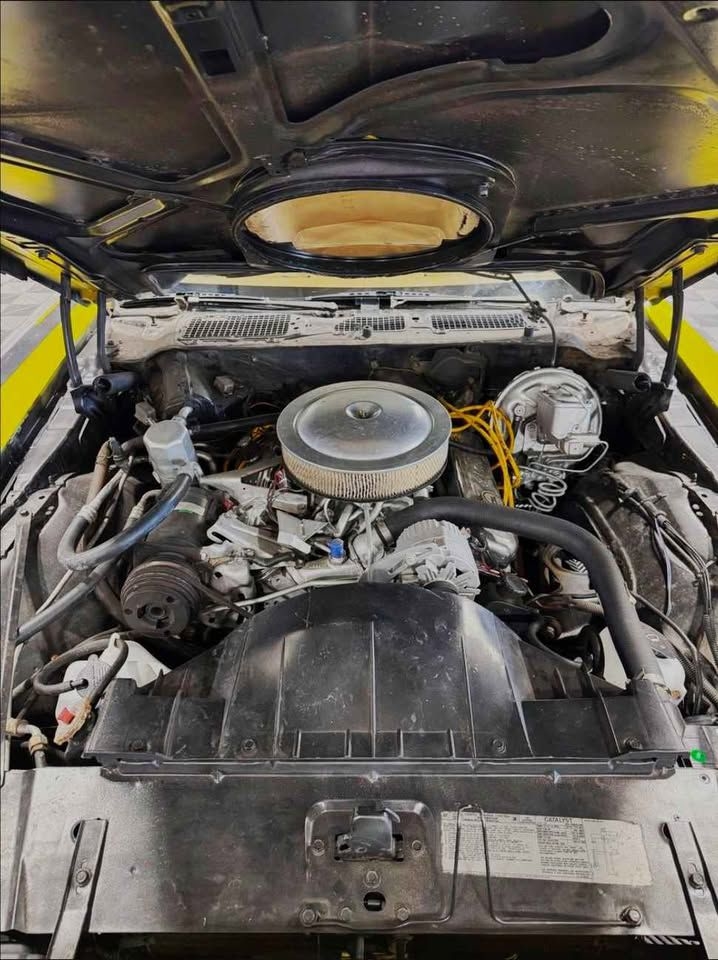 Pontiac Firebird Trans Am 1978