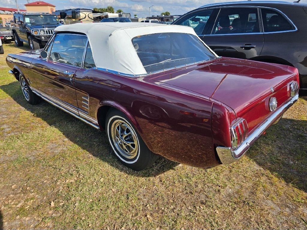 Ford Mustang  1966