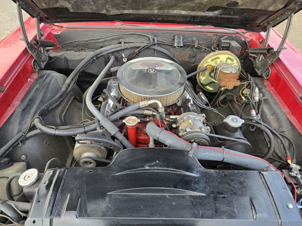 Oldsmobile Cutlass  1967