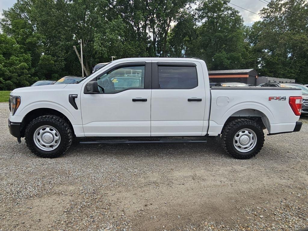 Ford F-150 XL SuperCrew 6.5-ft. Bed 4WD 2023