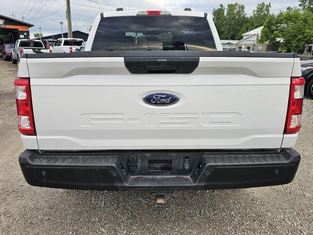 Ford F-150 XL SuperCrew 6.5-ft. Bed 4WD 2023