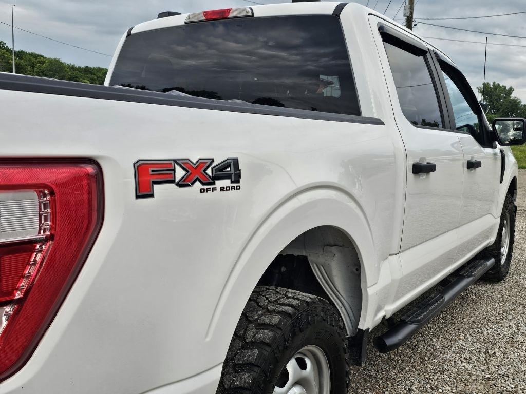 Ford F-150 XL SuperCrew 6.5-ft. Bed 4WD 2023