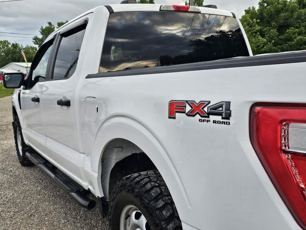 Ford F-150 XL SuperCrew 6.5-ft. Bed 4WD 2023