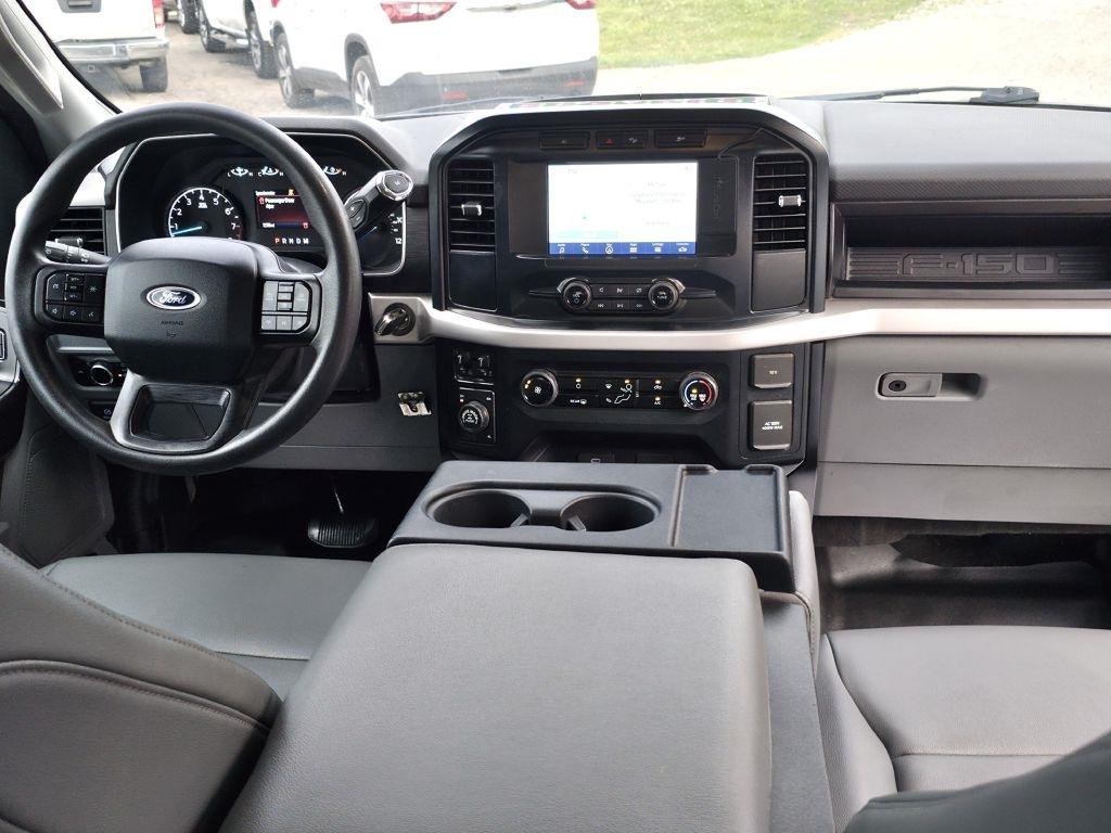 Ford F-150 XL SuperCrew 6.5-ft. Bed 4WD 2023