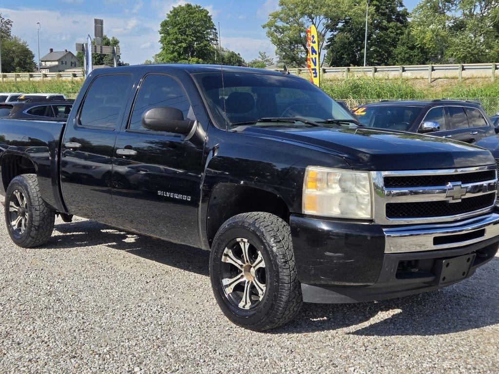 Chevrolet Silverado 1500 LS Crew Cab 4WD 2010