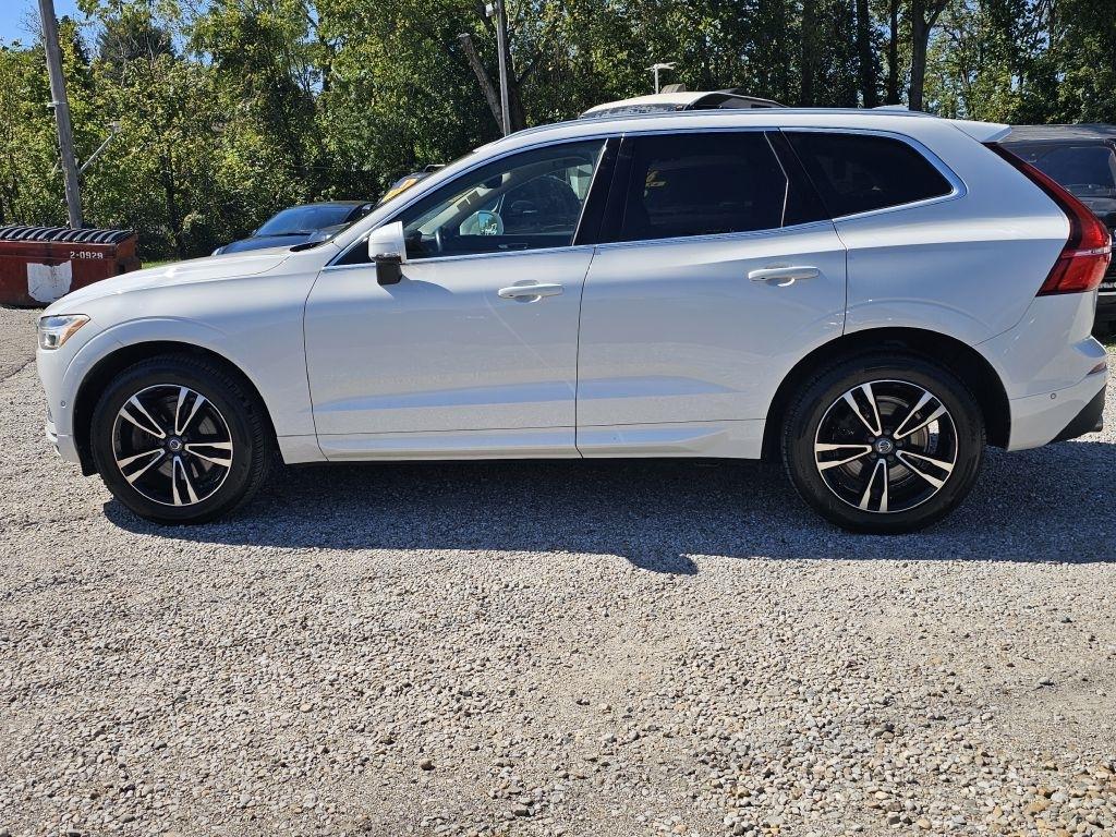 Volvo XC60 T6 Momentum AWD 2019