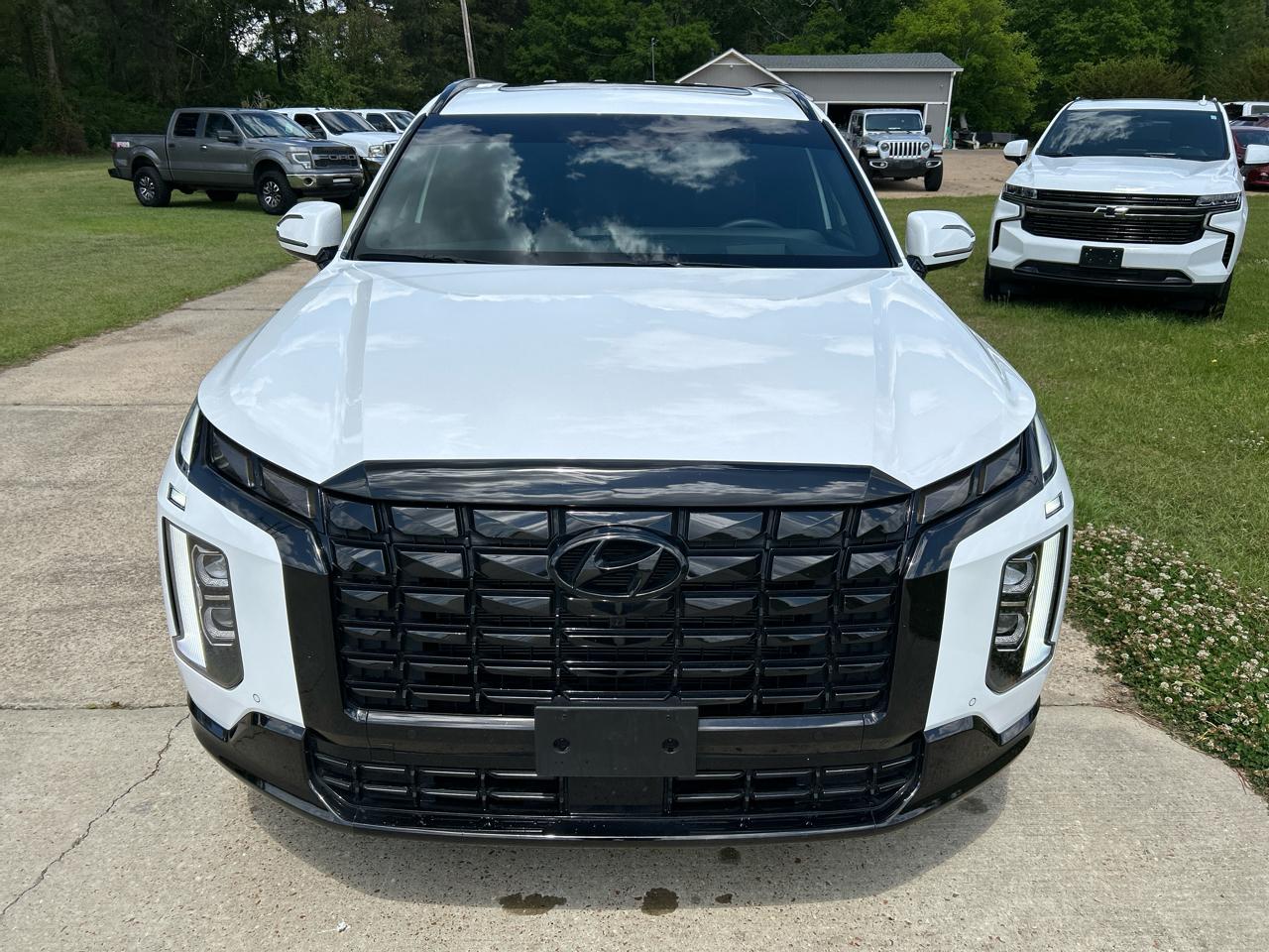 Hyundai Palisade Calligraphy Night Edition AWD 2024
