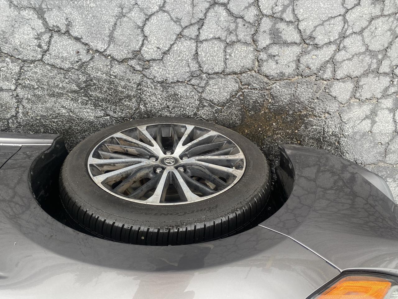 Toyota Camry XLE Auto (Natl) 2019