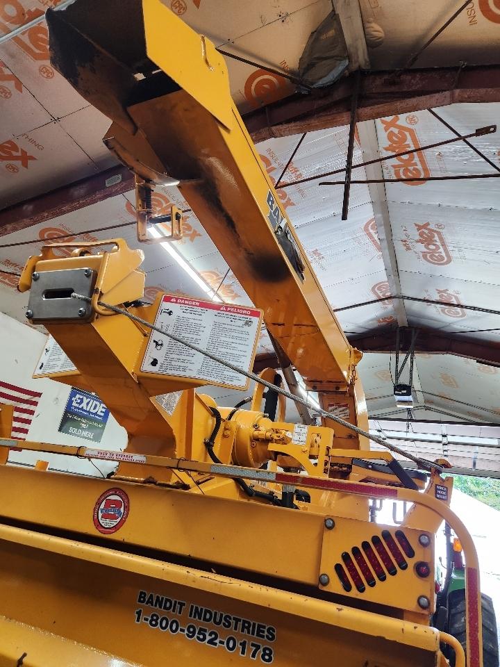 Bandit 250 XP  2018