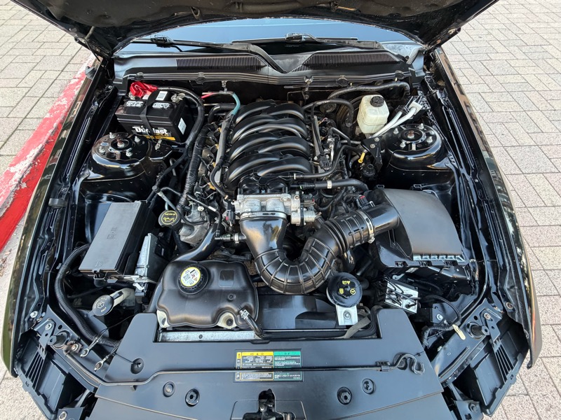 Ford Mustang GT Deluxe Coupe 2006