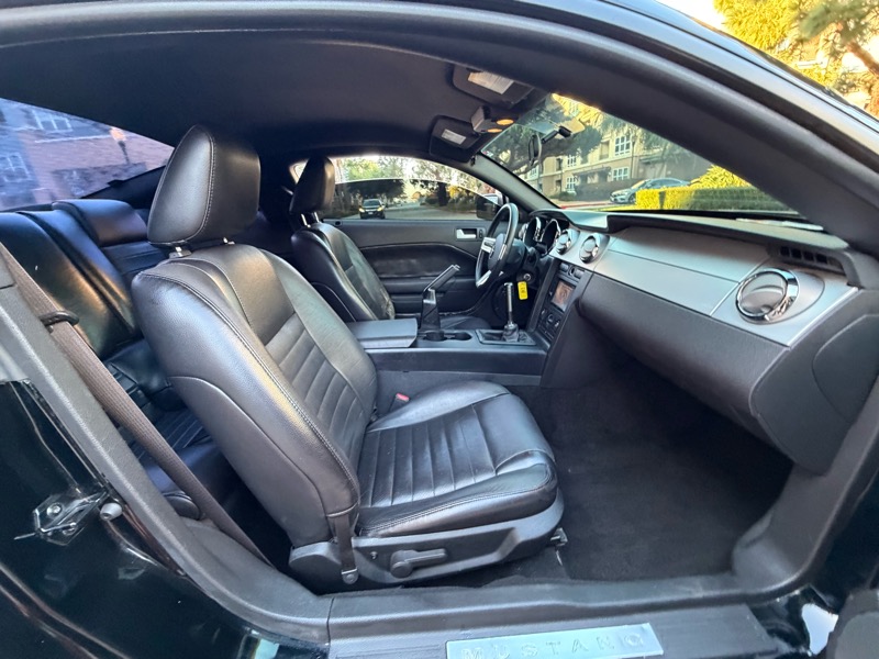 Ford Mustang GT Deluxe Coupe 2006