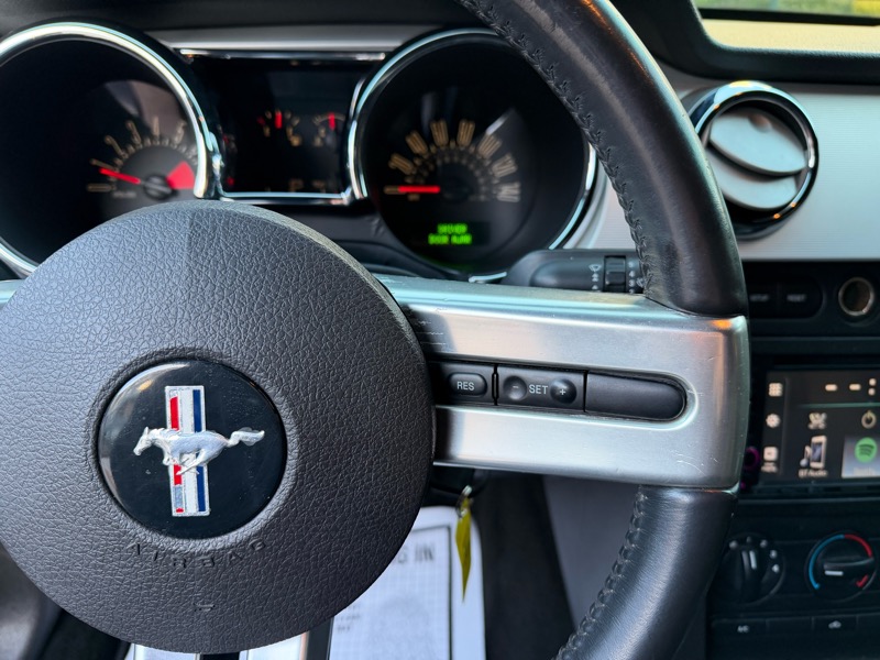 Ford Mustang GT Deluxe Coupe 2006