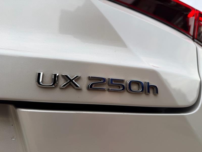 Lexus UX 250h Premium AWD 2019