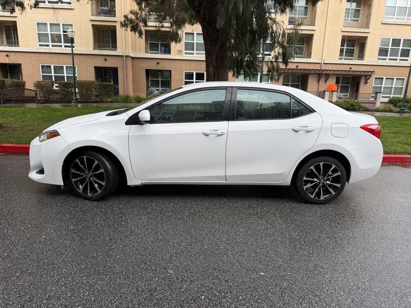 Toyota Corolla SE 2019
