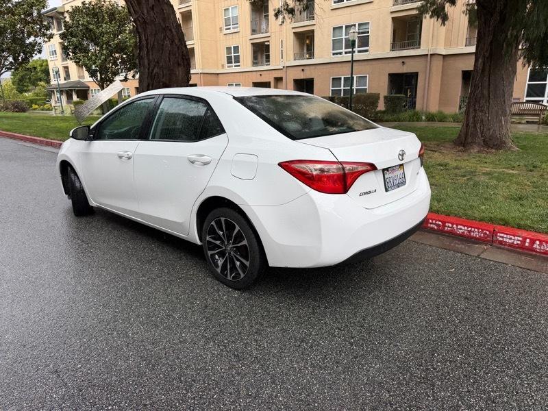 Toyota Corolla SE 2019