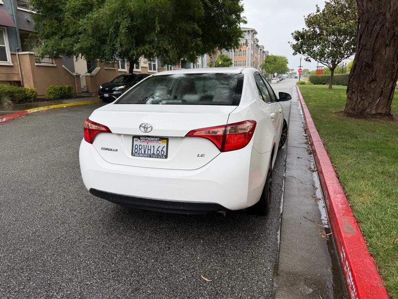 Toyota Corolla SE 2019