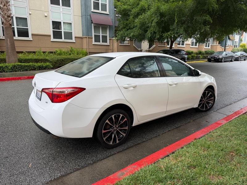 Toyota Corolla SE 2019
