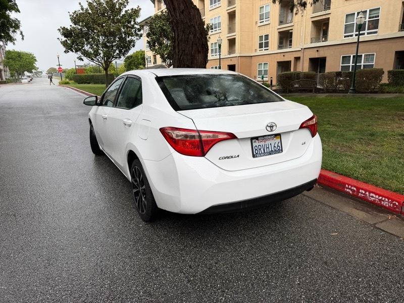 Toyota Corolla SE 2019