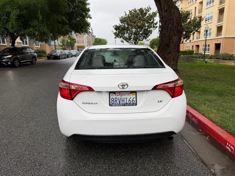 Toyota Corolla SE 2019