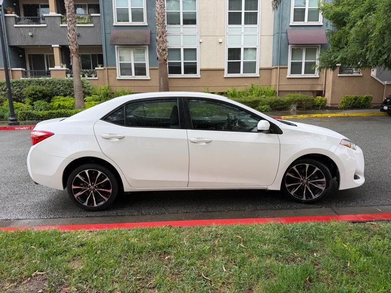 Toyota Corolla SE 2019