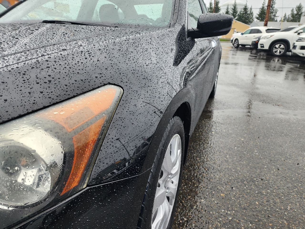 Honda Accord Sdn 4dr V6 Auto EX-L 2010