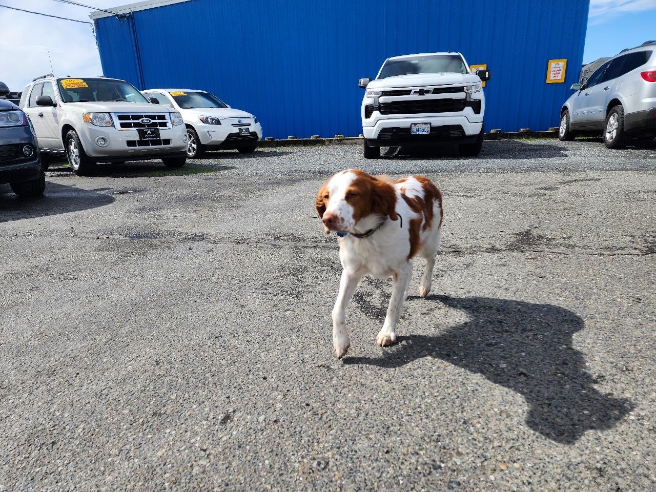 Cadillac ATS 3.6L Premium AWD 2014