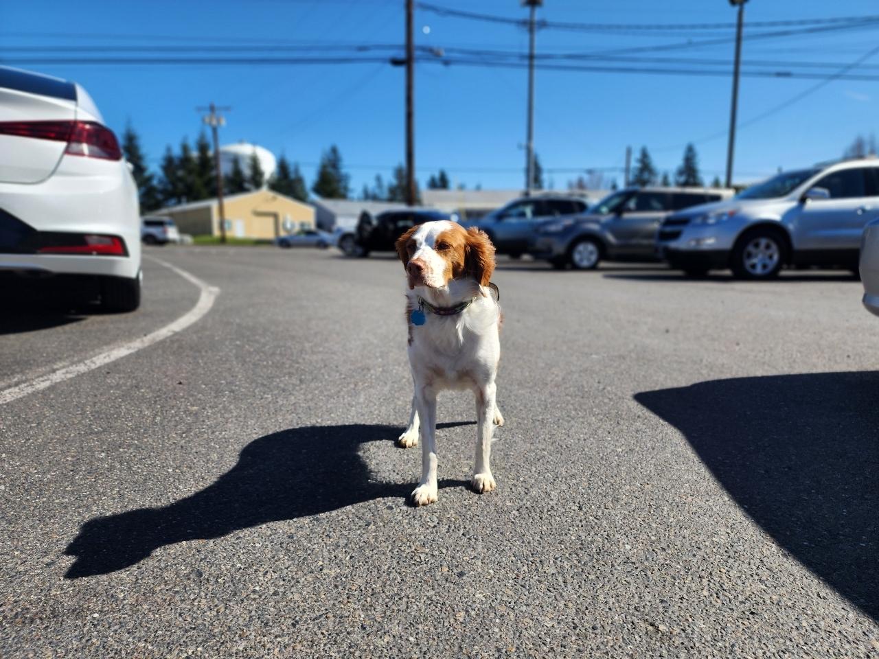 Infiniti G35 Sedan  2005
