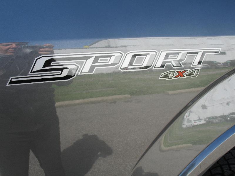 Ford F-150 XLT SuperCrew 5.5-ft. Bed 4WD 2019