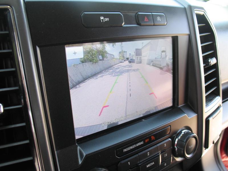 Ford F-150 XLT SuperCrew 5.5-ft. Bed 4WD 2020