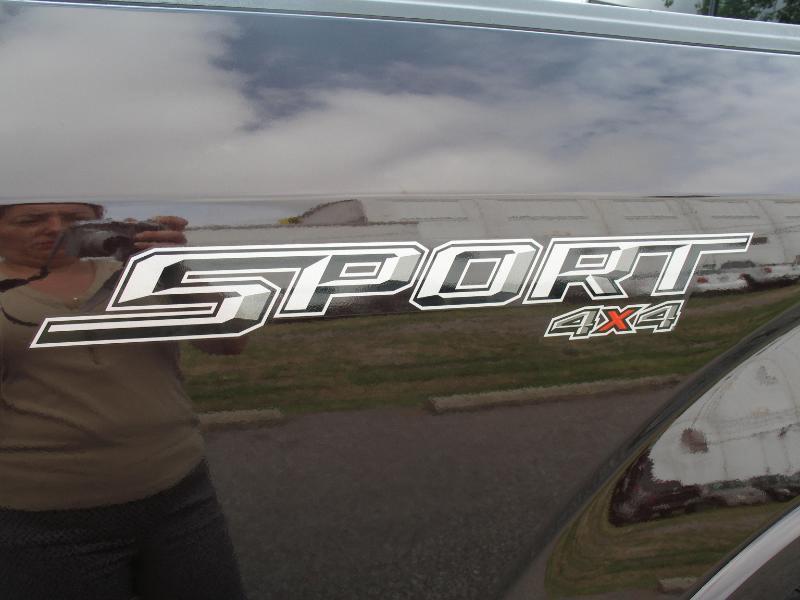 Ford F-150 XLT SuperCrew 5.5-ft. Bed 4WD 2020
