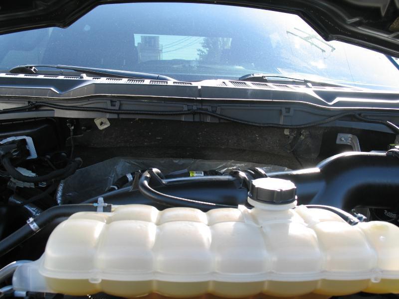 Ford F-150 XLT SuperCrew 5.5-ft. Bed 4WD 2022