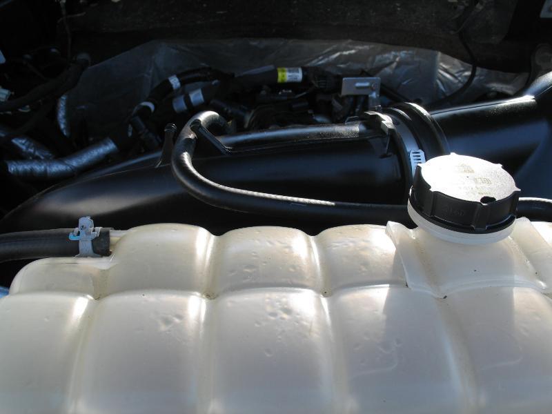 Ford F-150 XLT SuperCrew 5.5-ft. Bed 4WD 2022