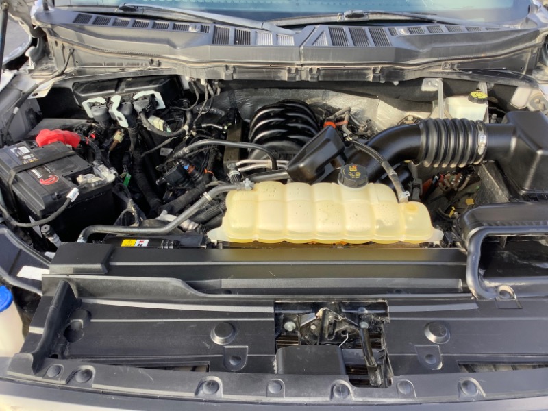 Ford F-150 XLT SuperCrew 5.5-ft. Bed 4WD 2023