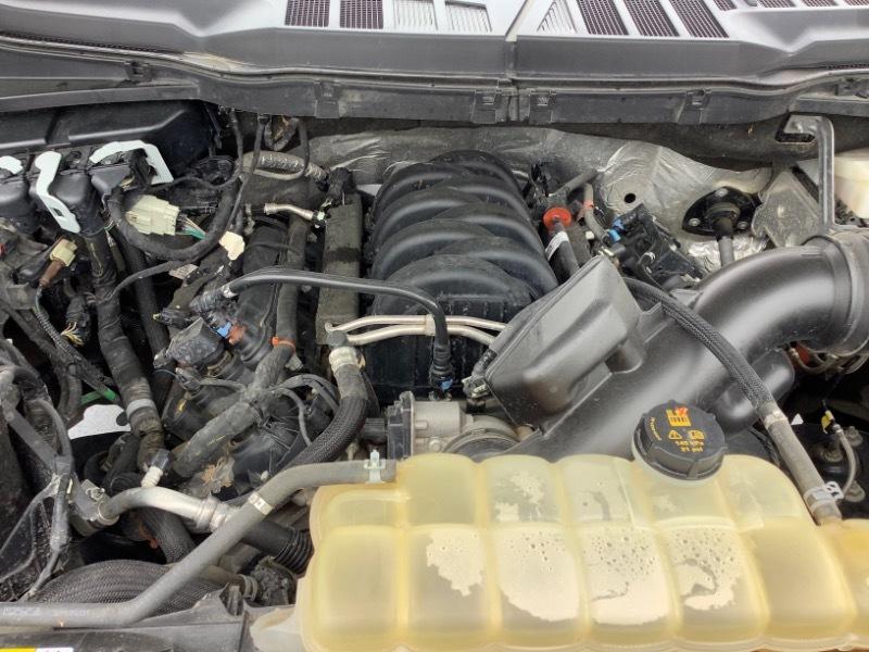 Ford F-150 XLT SuperCrew 5.5-ft. Bed 4WD 2021