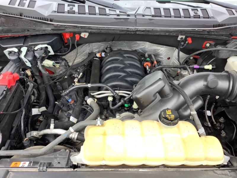 Ford F-150 XLT SuperCrew 5.5-ft. Bed 4WD 2020