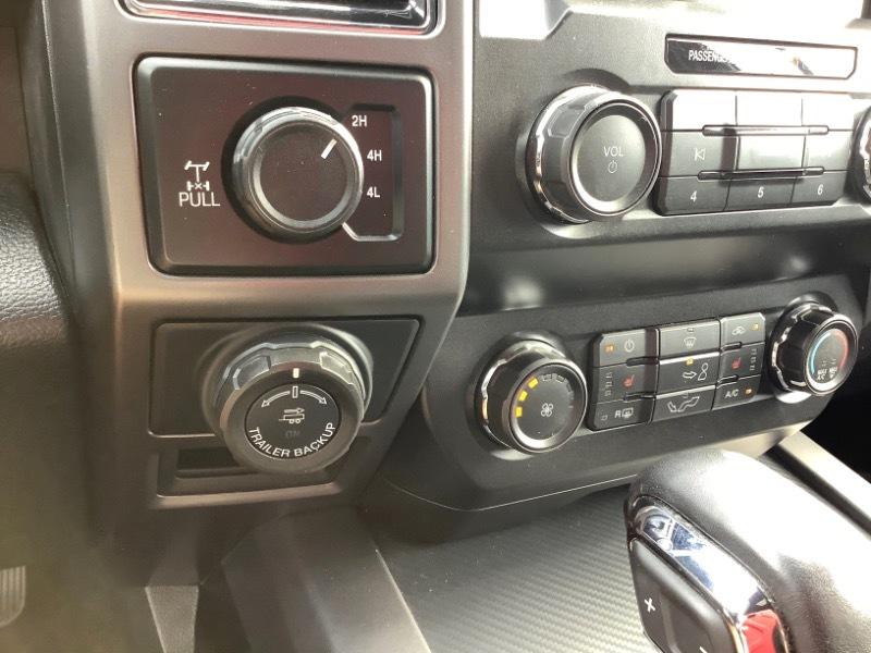 Ford F-150 XLT SuperCrew 6.5-ft. Bed 4WD 2020