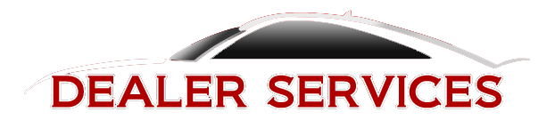 Dealer Service Financial Logo