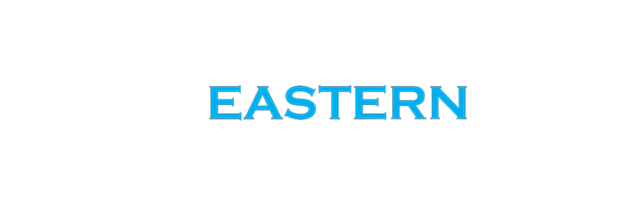 Eastern Auto Exchange Logo