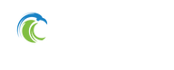 Carolina Auto Finance